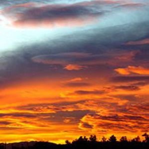 Meet your Posher, Misheel